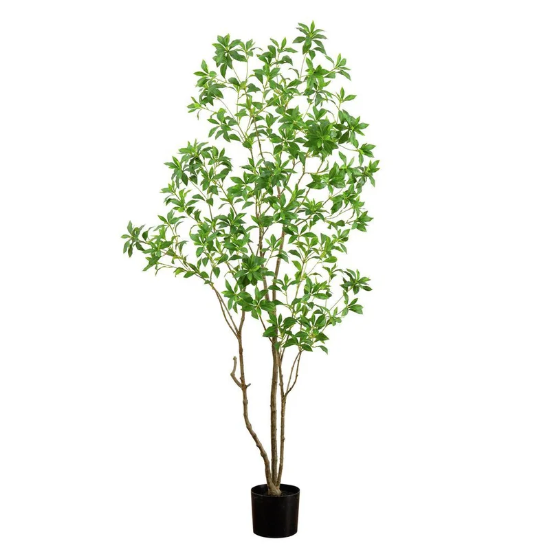 hubert3558497