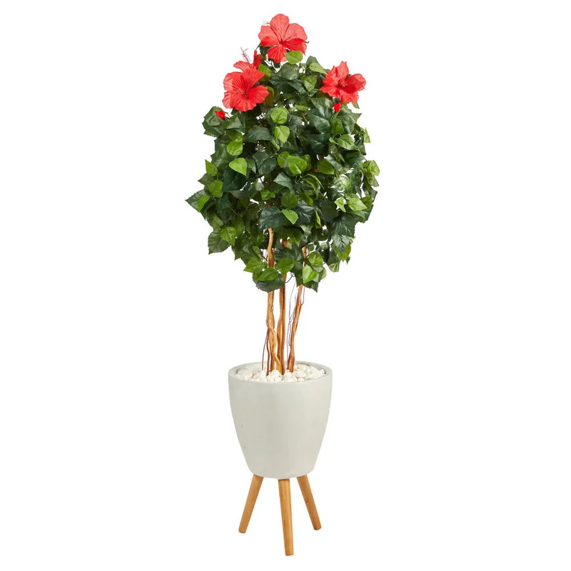 hubert3570646