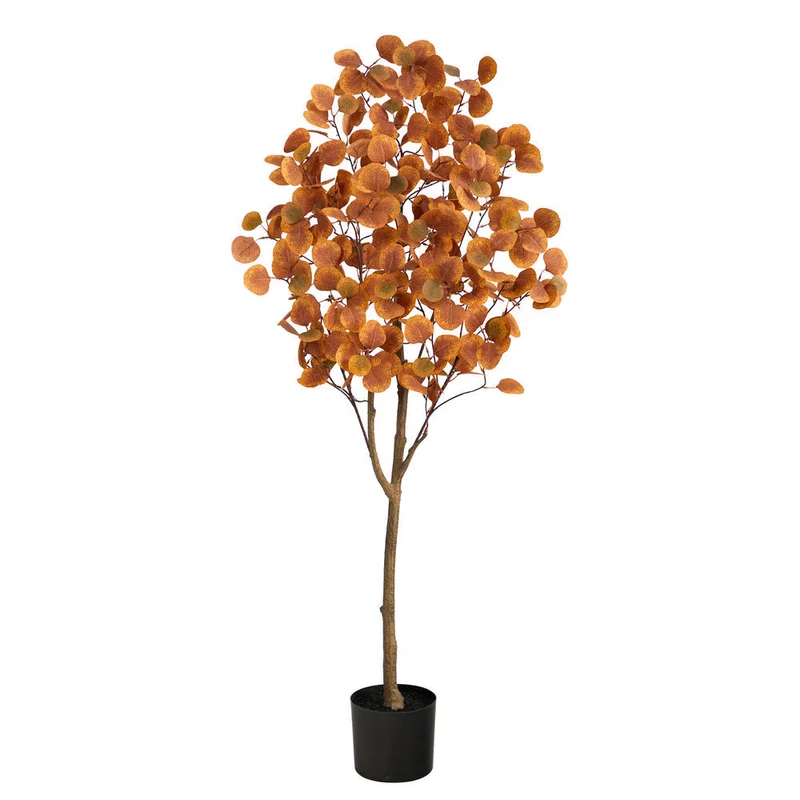hubert3572099