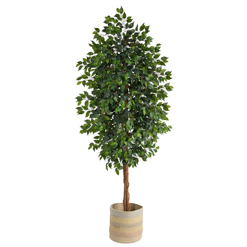 hubert3572803
