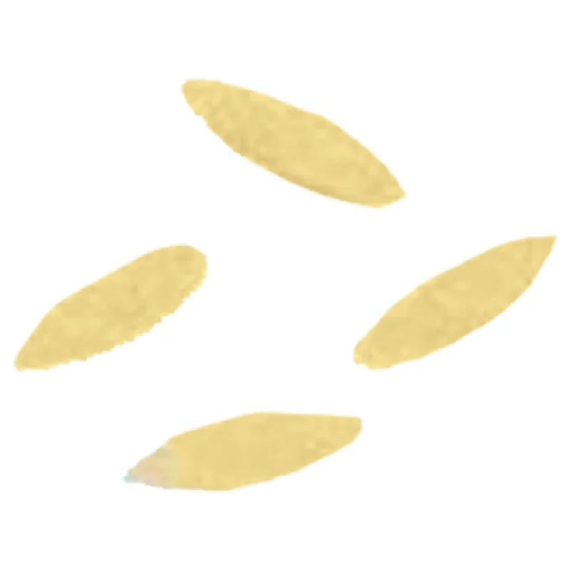restaurantsupply2531317