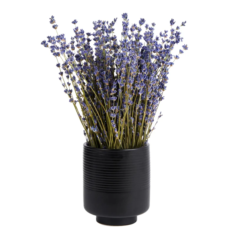 restaurantware2177760