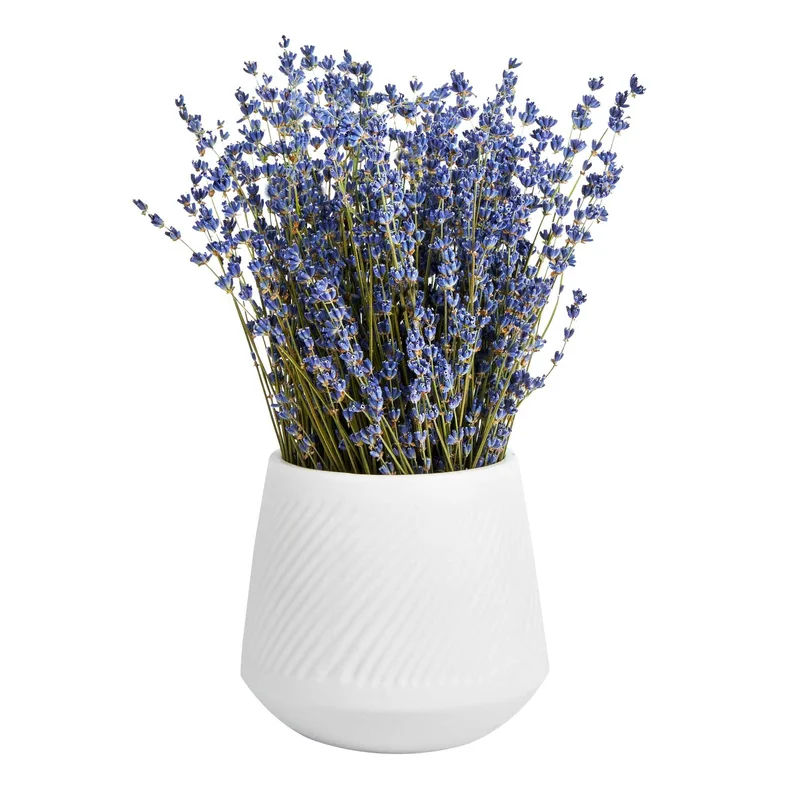 restaurantware2233752